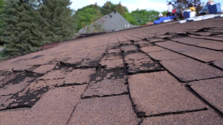 Best Metal Roofing Installation  in Ball Pond, CT