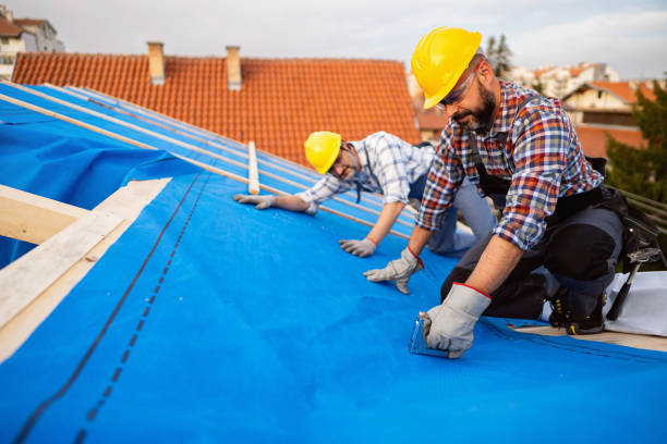 Best Rubber Roofing (EPDM, TPO)  in Ball Pond, CT